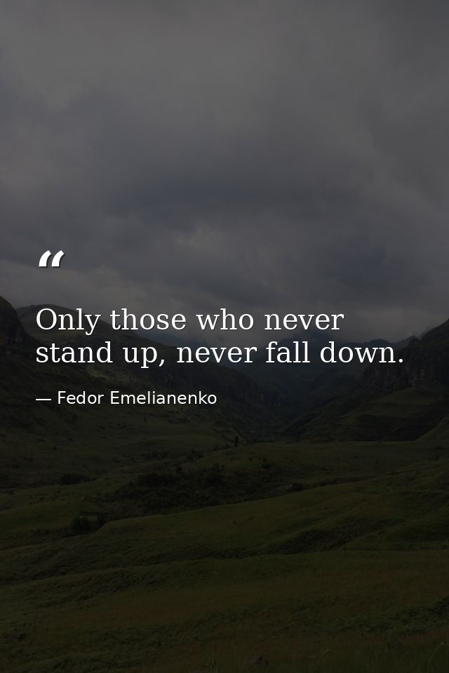 Only those who never stand up, never fall down. — Fedor Emelianenko