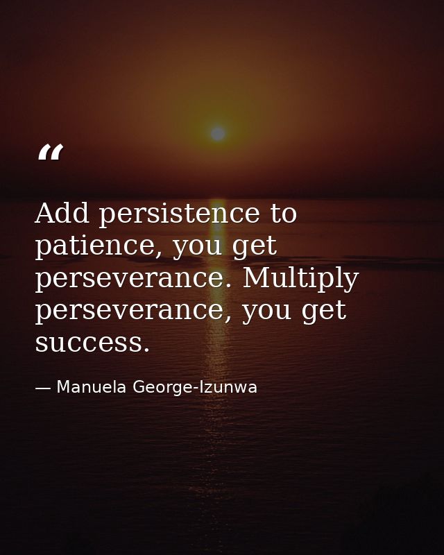 Add persistence to patience, you get perseverance. Multiply perseverance, you get success. — Manuela George-Izunwa