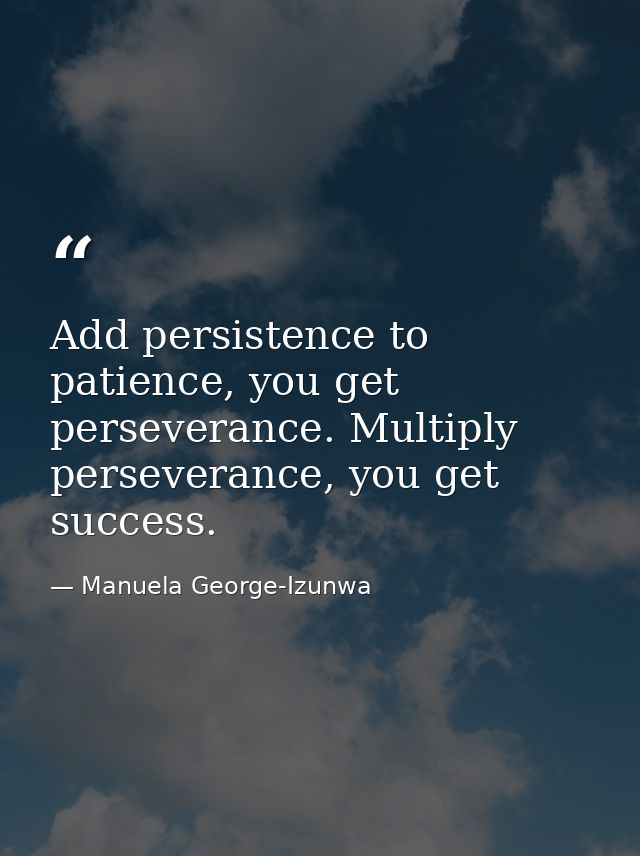 Add persistence to patience, you get perseverance. Multiply perseverance, you get success. — Manuela George-Izunwa