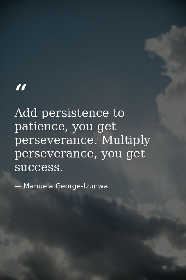 Add persistence to patience, you get perseverance. Multiply perseverance, you get success. — Manuela George-Izunwa
