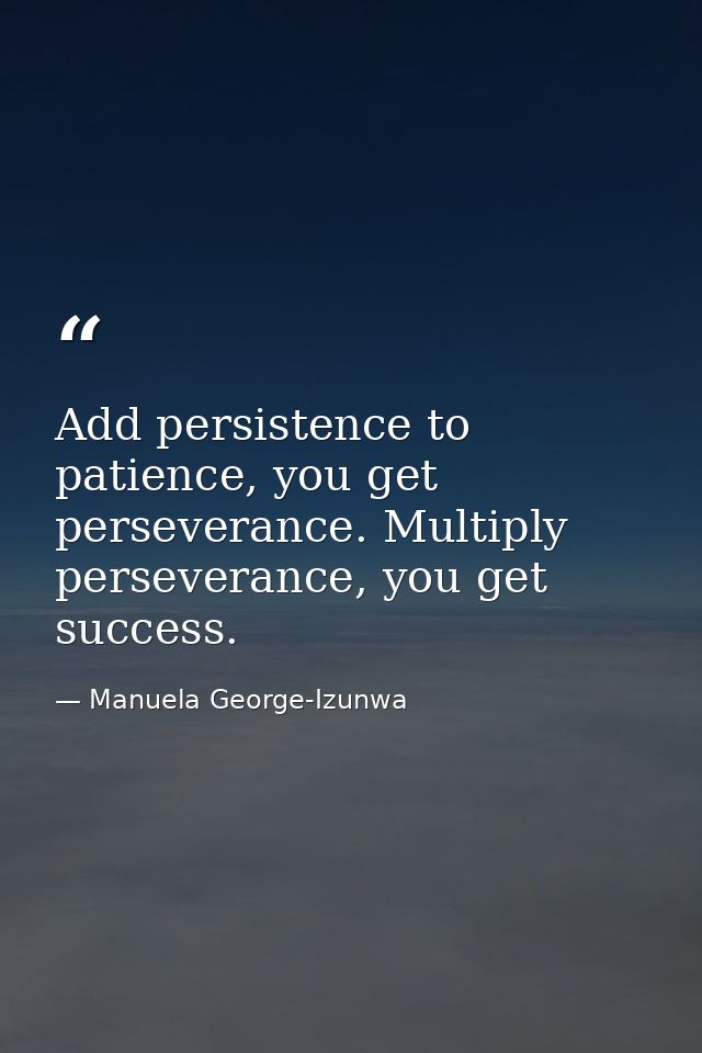 Add persistence to patience, you get perseverance. Multiply perseverance, you get success. — Manuela George-Izunwa