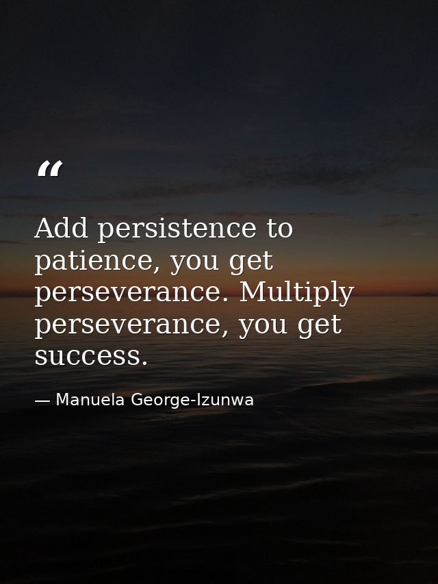 Add persistence to patience, you get perseverance. Multiply perseverance, you get success. — Manuela George-Izunwa