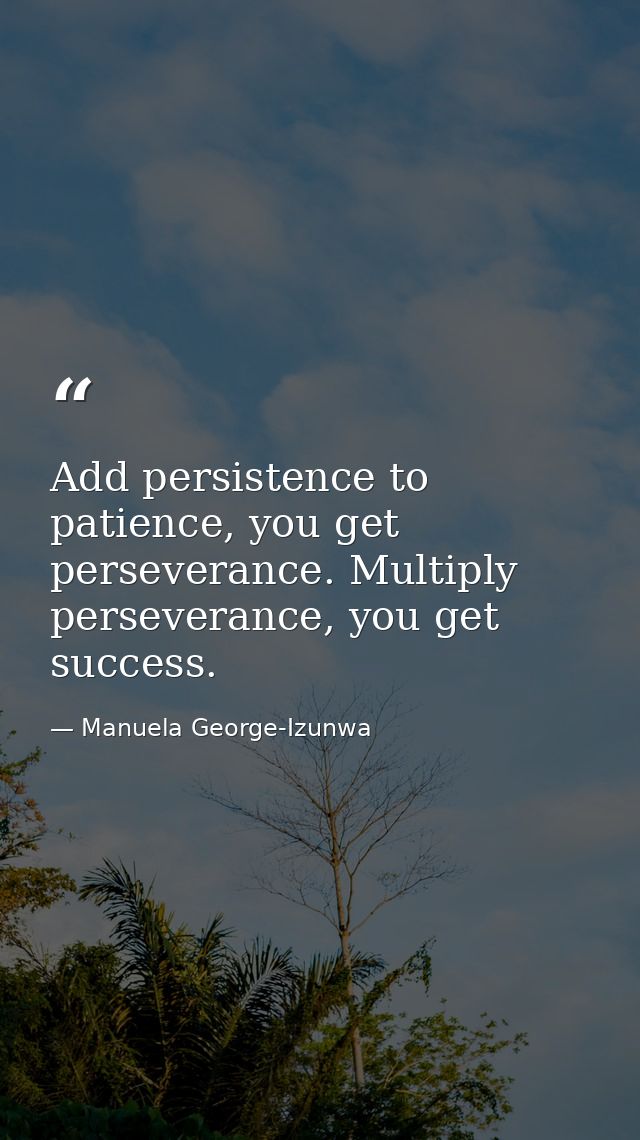 Add persistence to patience, you get perseverance. Multiply perseverance, you get success. — Manuela George-Izunwa