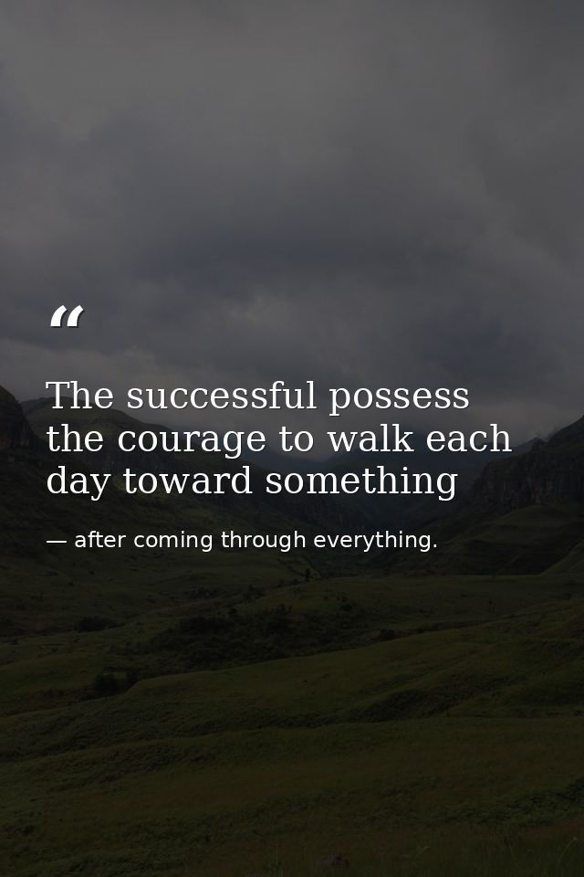 The successful possess the courage to walk each day toward something — after coming through everything.