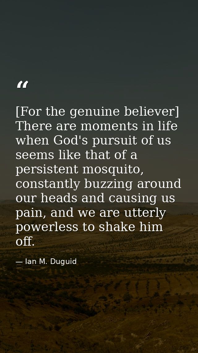 [For the genuine believer] There are moments in life when God's pursuit of us seems like that of a persistent mosquito,  — Ian M. Duguid