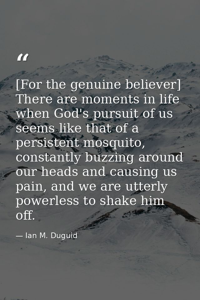 [For the genuine believer] There are moments in life when God's pursuit of us seems like that of a persistent mosquito,  — Ian M. Duguid