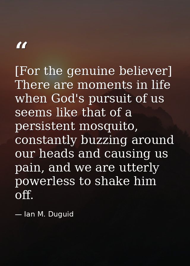 [For the genuine believer] There are moments in life when God's pursuit of us seems like that of a persistent mosquito,  — Ian M. Duguid
