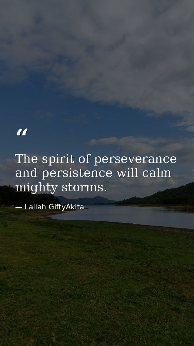 The spirit of perseverance and persistence will calm mighty storms. — Lailah GiftyAkita