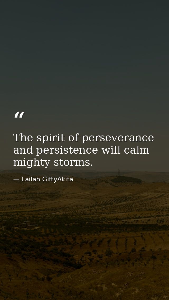 The spirit of perseverance and persistence will calm mighty storms. — Lailah GiftyAkita