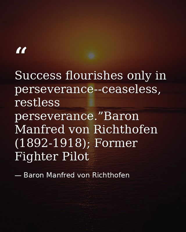 Success flourishes only in perseverance--ceaseless, restless perseverance.”Baron Manfred von Richthofen (1892-1918); For — Baron Manfred von Richthofen