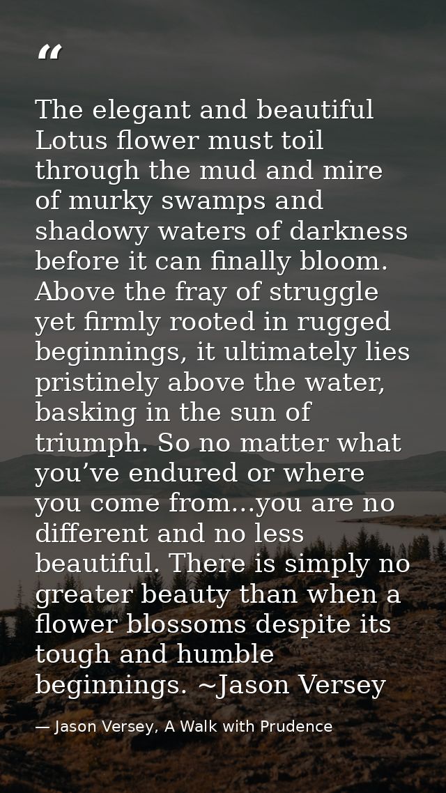 The elegant and beautiful Lotus flower must toil through the mud and mire of murky swamps and shadowy waters of darkness — Jason Versey, A Walk with Prudence