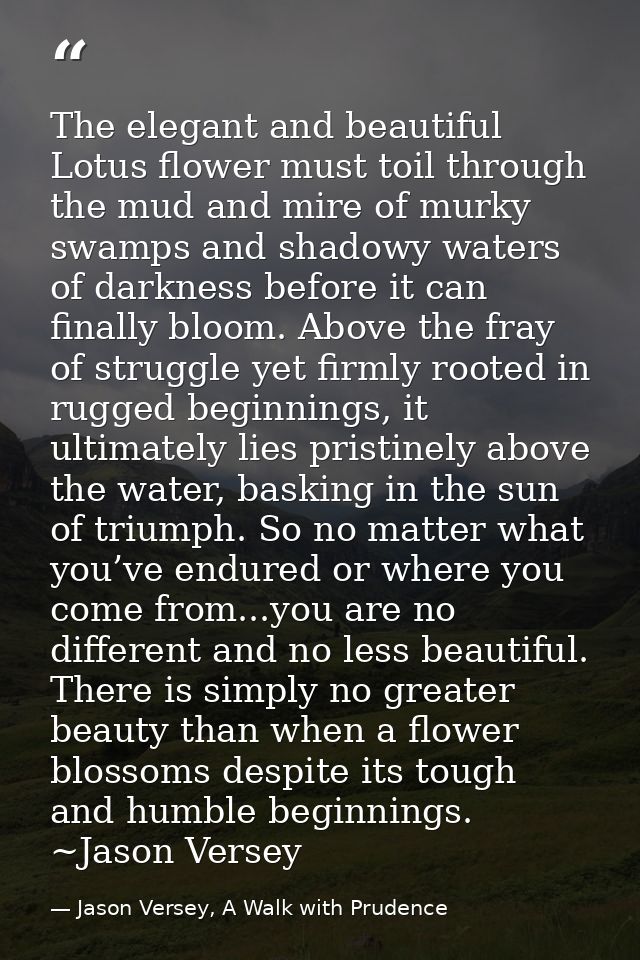 The elegant and beautiful Lotus flower must toil through the mud and mire of murky swamps and shadowy waters of darkness — Jason Versey, A Walk with Prudence