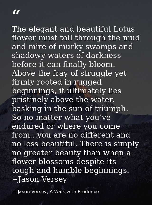 The elegant and beautiful Lotus flower must toil through the mud and mire of murky swamps and shadowy waters of darkness — Jason Versey, A Walk with Prudence
