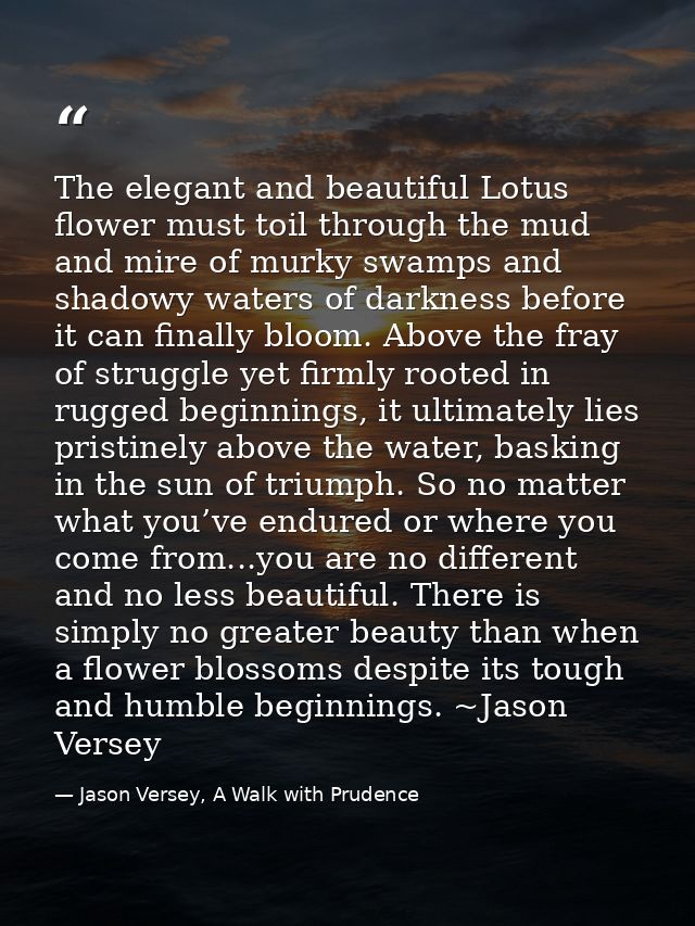 The elegant and beautiful Lotus flower must toil through the mud and mire of murky swamps and shadowy waters of darkness — Jason Versey, A Walk with Prudence