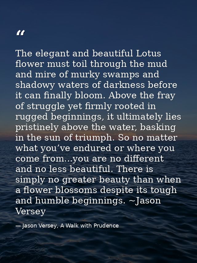 The elegant and beautiful Lotus flower must toil through the mud and mire of murky swamps and shadowy waters of darkness — Jason Versey, A Walk with Prudence