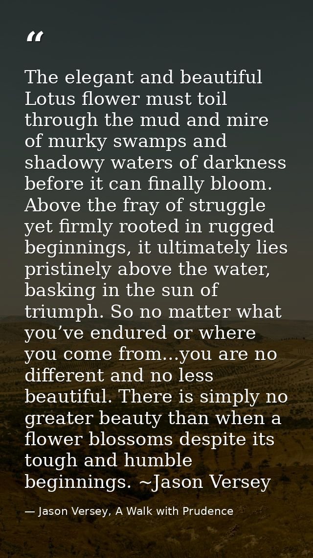 The elegant and beautiful Lotus flower must toil through the mud and mire of murky swamps and shadowy waters of darkness — Jason Versey, A Walk with Prudence