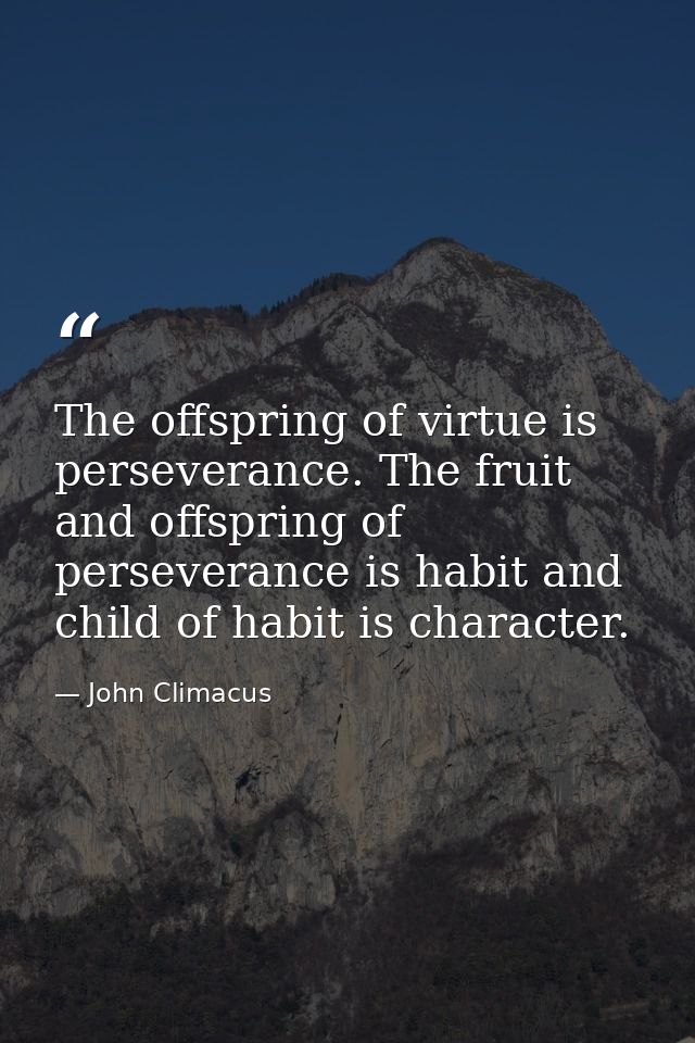The offspring of virtue is perseverance. The fruit and offspring of perseverance is habit and child of habit is characte — John Climacus