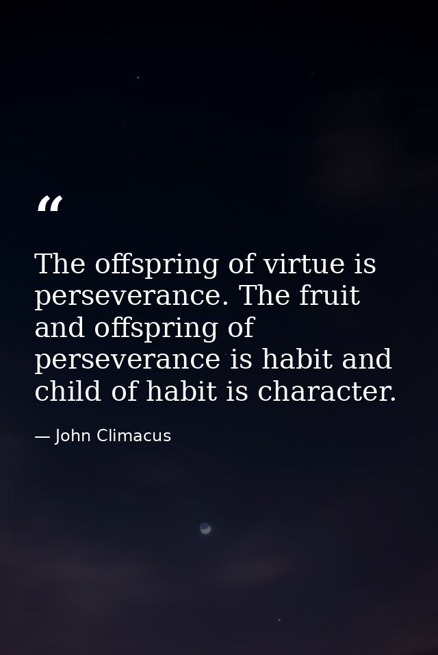 The offspring of virtue is perseverance. The fruit and offspring of perseverance is habit and child of habit is characte — John Climacus