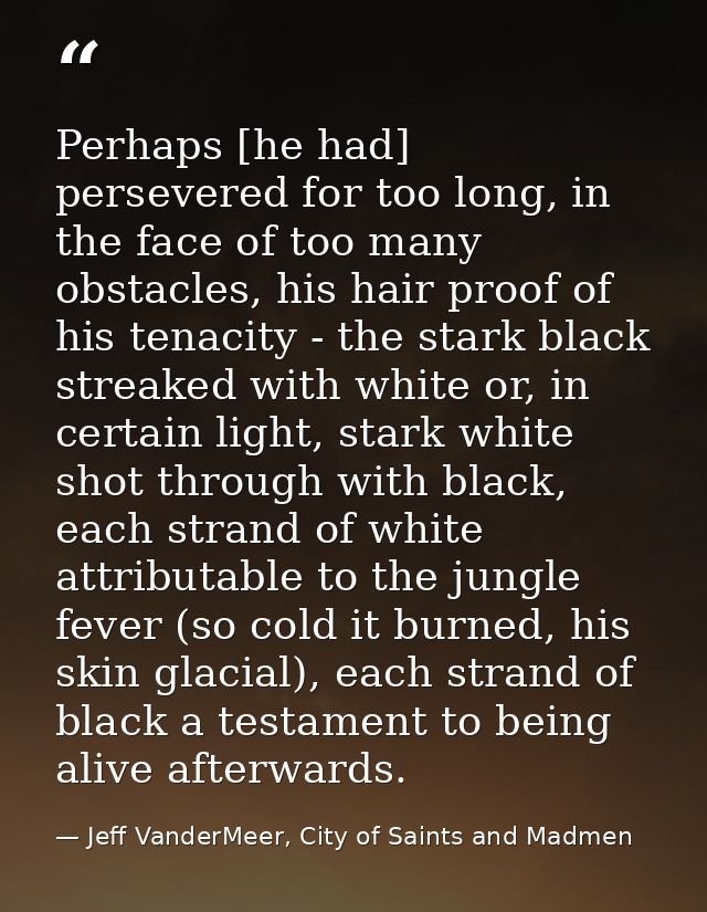 Perhaps [he had] persevered for too long, in the face of too many obstacles, his hair proof of his tenacity - the stark  — Jeff VanderMeer, City of Saints and Madmen