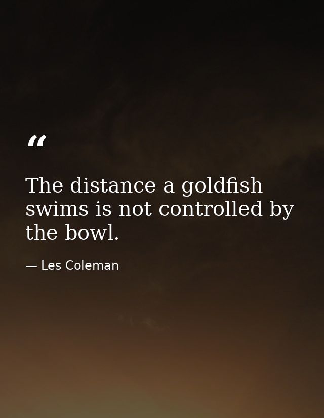 The distance a goldfish swims is not controlled by the bowl. — Les Coleman