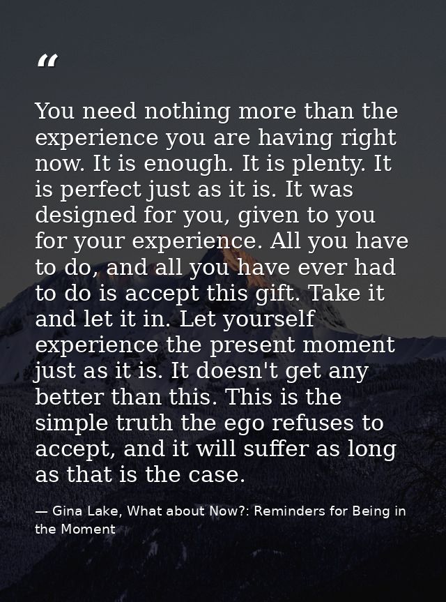 You need nothing more than the experience you are having right now. It is enough. It is plenty. It is perfect just as it — Gina Lake, What about Now?: Reminders for Being in the Moment