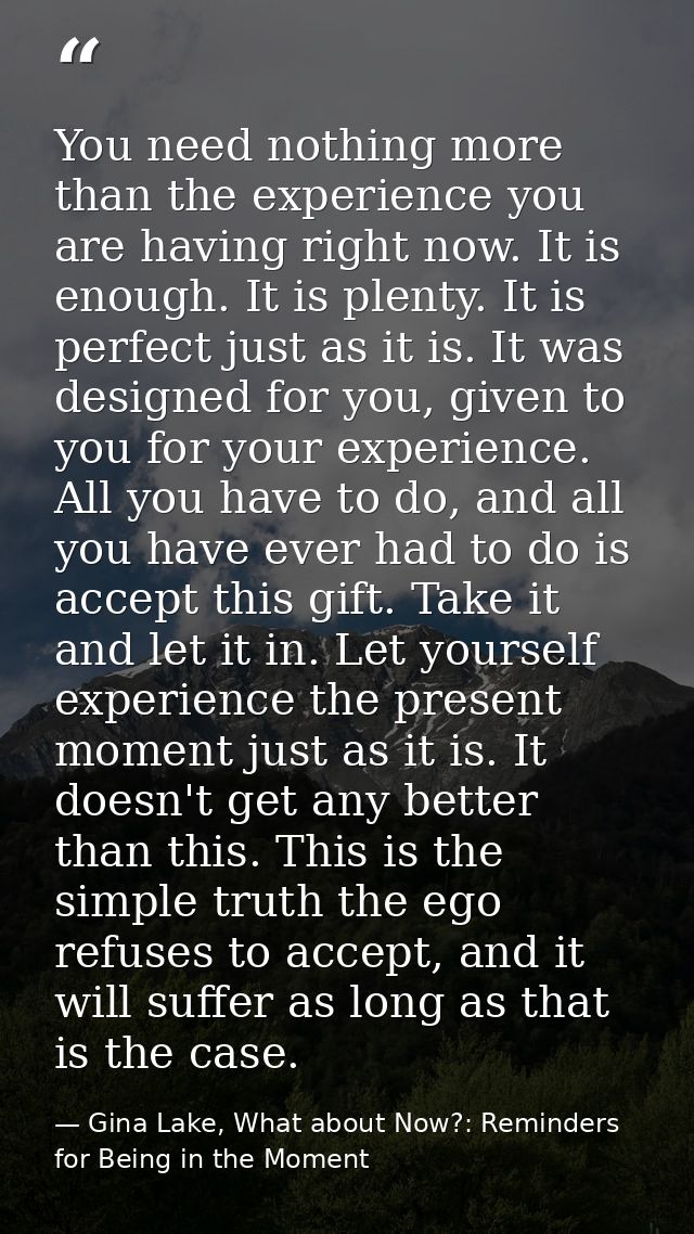 You need nothing more than the experience you are having right now. It is enough. It is plenty. It is perfect just as it — Gina Lake, What about Now?: Reminders for Being in the Moment