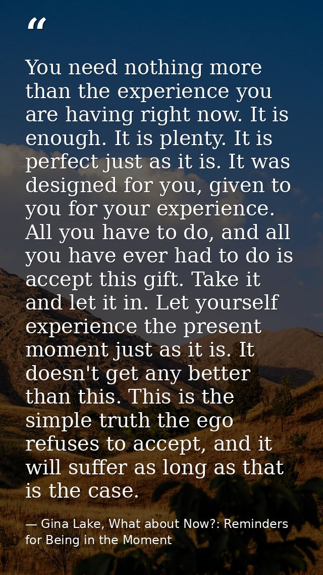 You need nothing more than the experience you are having right now. It is enough. It is plenty. It is perfect just as it — Gina Lake, What about Now?: Reminders for Being in the Moment