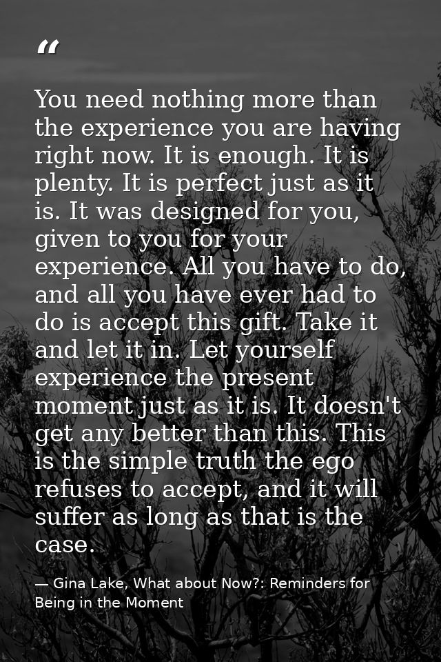 You need nothing more than the experience you are having right now. It is enough. It is plenty. It is perfect just as it — Gina Lake, What about Now?: Reminders for Being in the Moment