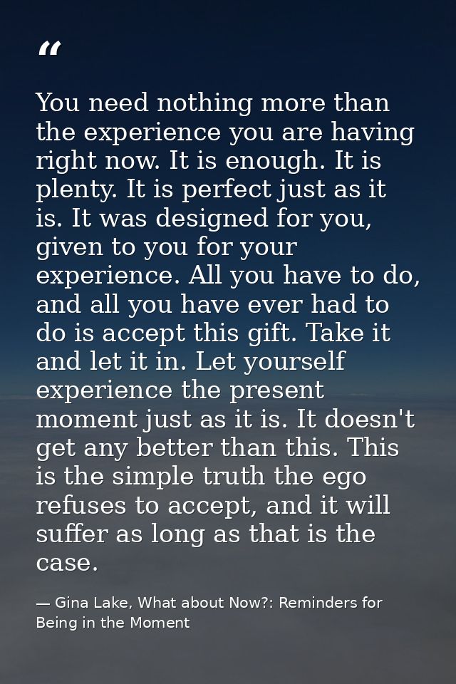 You need nothing more than the experience you are having right now. It is enough. It is plenty. It is perfect just as it — Gina Lake, What about Now?: Reminders for Being in the Moment