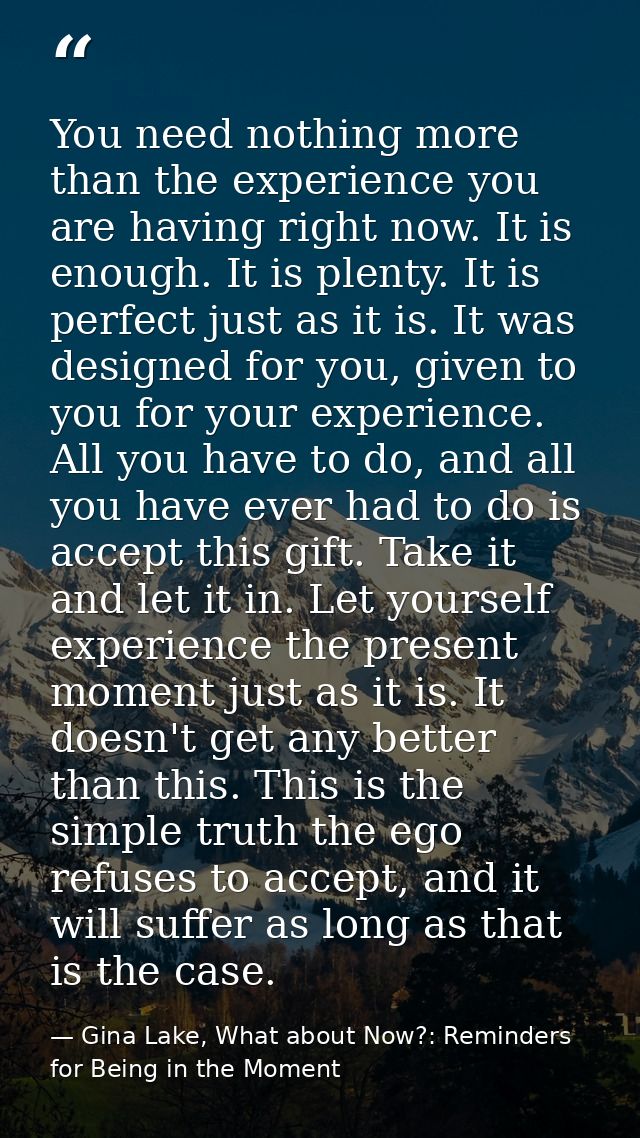 You need nothing more than the experience you are having right now. It is enough. It is plenty. It is perfect just as it — Gina Lake, What about Now?: Reminders for Being in the Moment