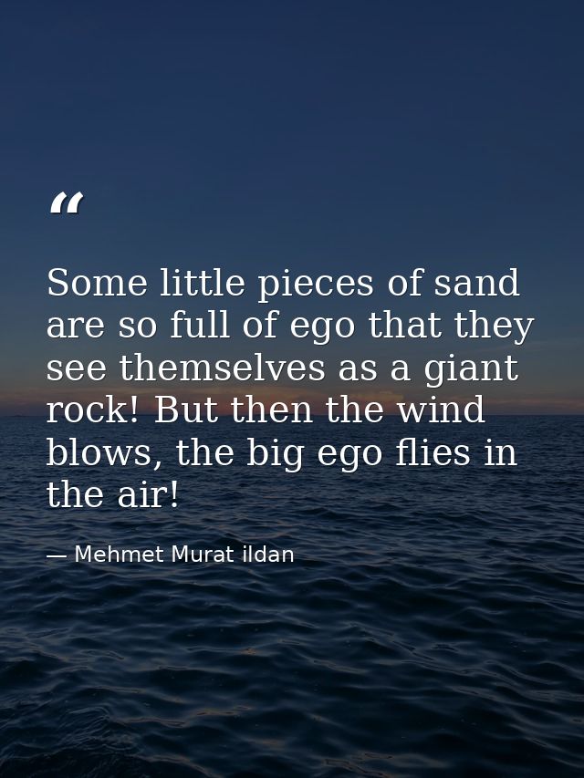 Some little pieces of sand are so full of ego that they see themselves as a giant rock! But then the wind blows, the big — Mehmet Murat ildan