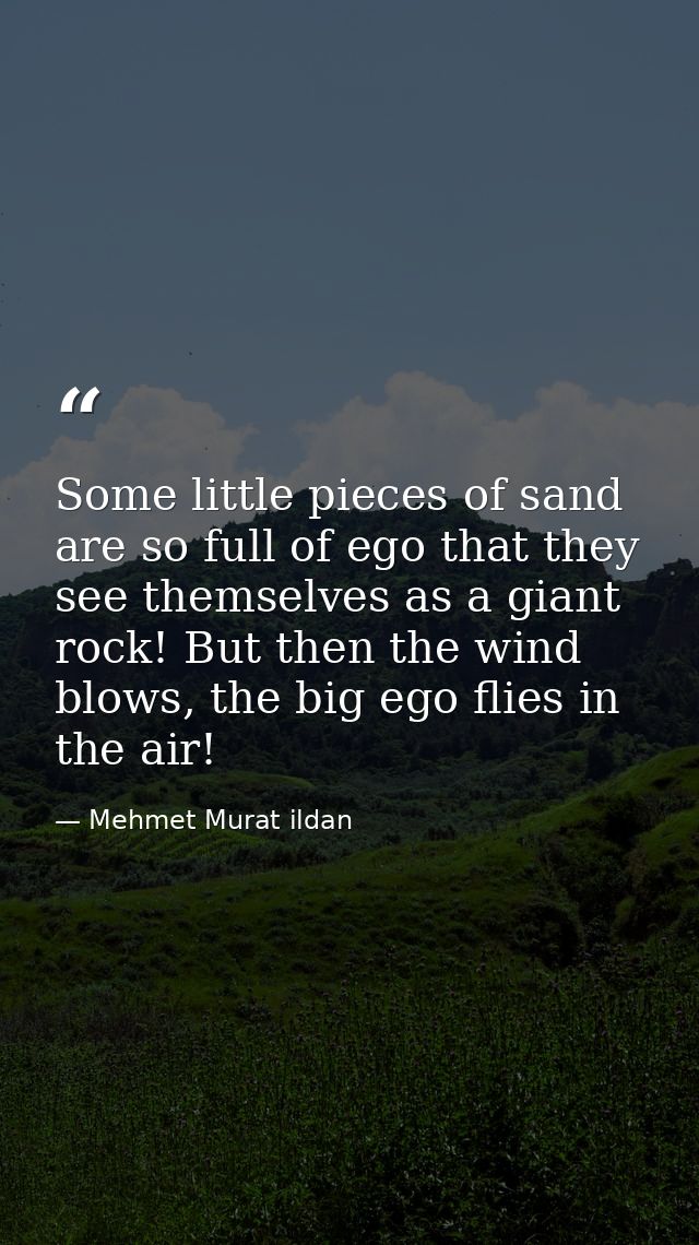 Some little pieces of sand are so full of ego that they see themselves as a giant rock! But then the wind blows, the big — Mehmet Murat ildan