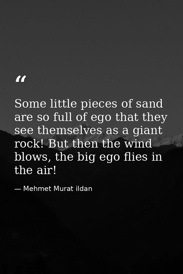 Some little pieces of sand are so full of ego that they see themselves as a giant rock! But then the wind blows, the big — Mehmet Murat ildan
