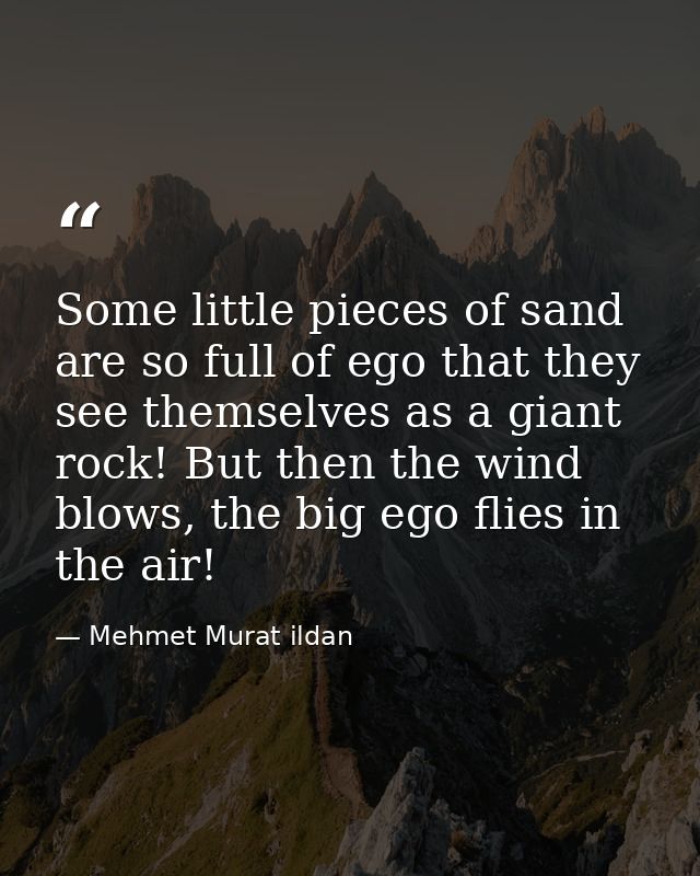 Some little pieces of sand are so full of ego that they see themselves as a giant rock! But then the wind blows, the big — Mehmet Murat ildan