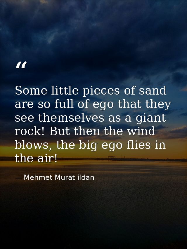 Some little pieces of sand are so full of ego that they see themselves as a giant rock! But then the wind blows, the big — Mehmet Murat ildan