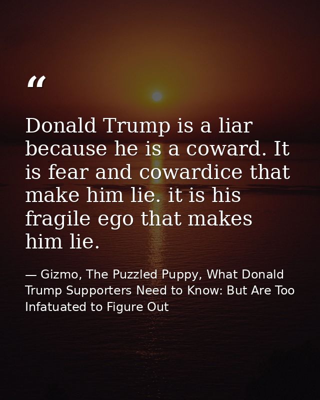 Donald Trump is a liar because he is a coward. It is fear and cowardice that make him lie. it is his fragile ego that ma — Gizmo, The Puzzled Puppy, What Donald Trump Supporters Need to Know: But Are Too Infatuated to Figure Out