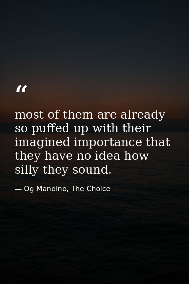 most of them are already so puffed up with their imagined importance that they have no idea how silly they sound. — Og Mandino, The Choice