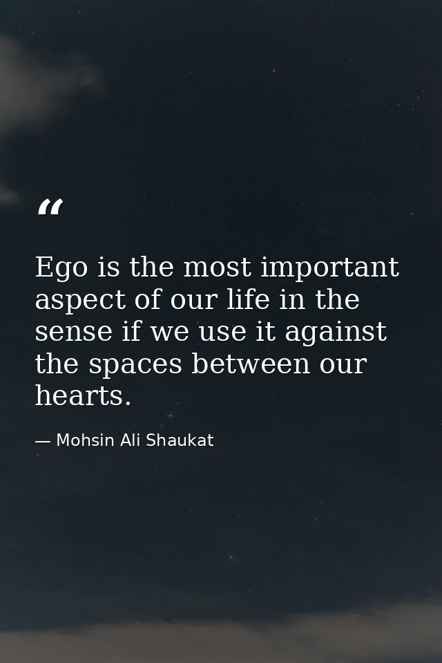 Ego is the most important aspect of our life in the sense if we use it against the spaces between our hearts. — Mohsin Ali Shaukat