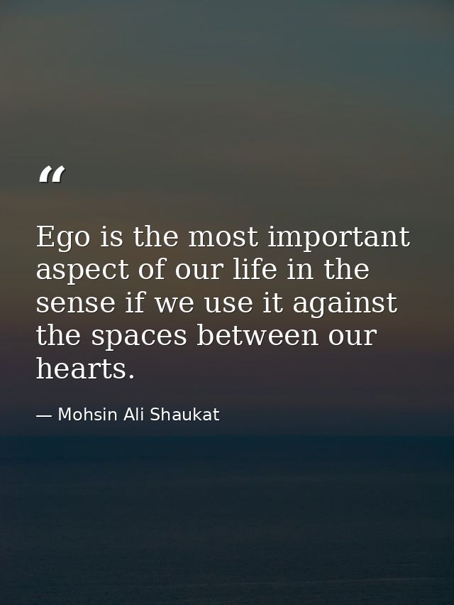 Ego is the most important aspect of our life in the sense if we use it against the spaces between our hearts. — Mohsin Ali Shaukat