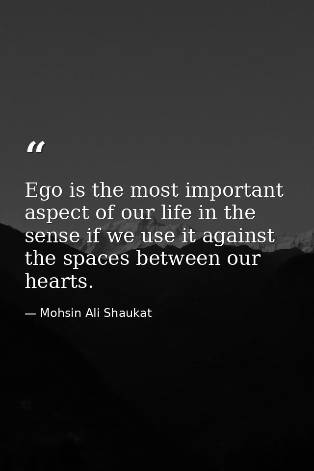 Ego is the most important aspect of our life in the sense if we use it against the spaces between our hearts. — Mohsin Ali Shaukat