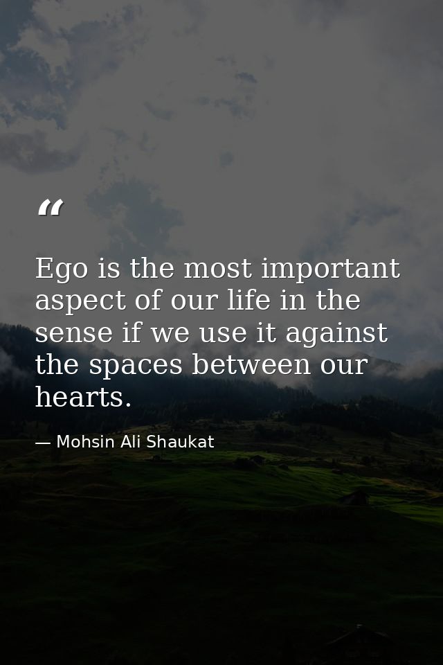 Ego is the most important aspect of our life in the sense if we use it against the spaces between our hearts. — Mohsin Ali Shaukat