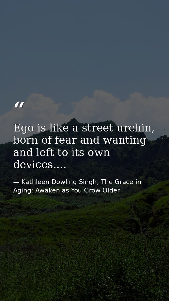 Ego is like a street urchin, born of fear and wanting and left to its own devices.... — Kathleen Dowling Singh, The Grace in Aging: Awaken as You Grow Older