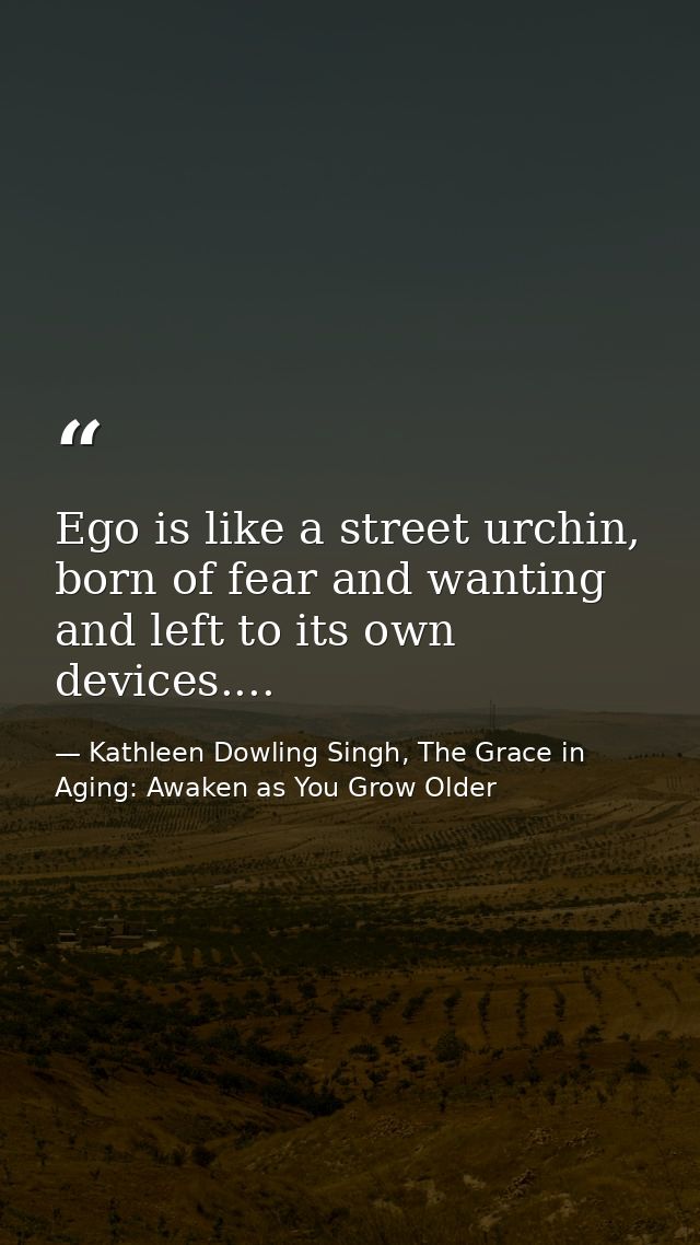 Ego is like a street urchin, born of fear and wanting and left to its own devices.... — Kathleen Dowling Singh, The Grace in Aging: Awaken as You Grow Older