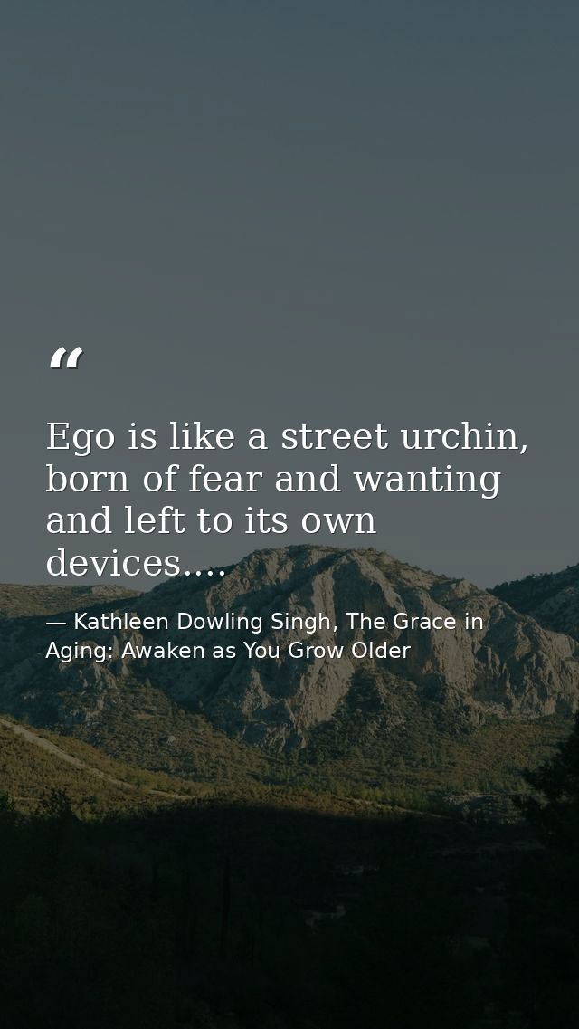 Ego is like a street urchin, born of fear and wanting and left to its own devices.... — Kathleen Dowling Singh, The Grace in Aging: Awaken as You Grow Older