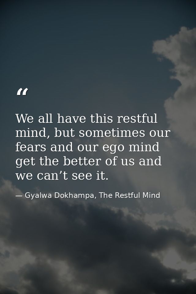 We all have this restful mind, but sometimes our fears and our ego mind get the better of us and we can’t see it. — Gyalwa Dokhampa, The Restful Mind
