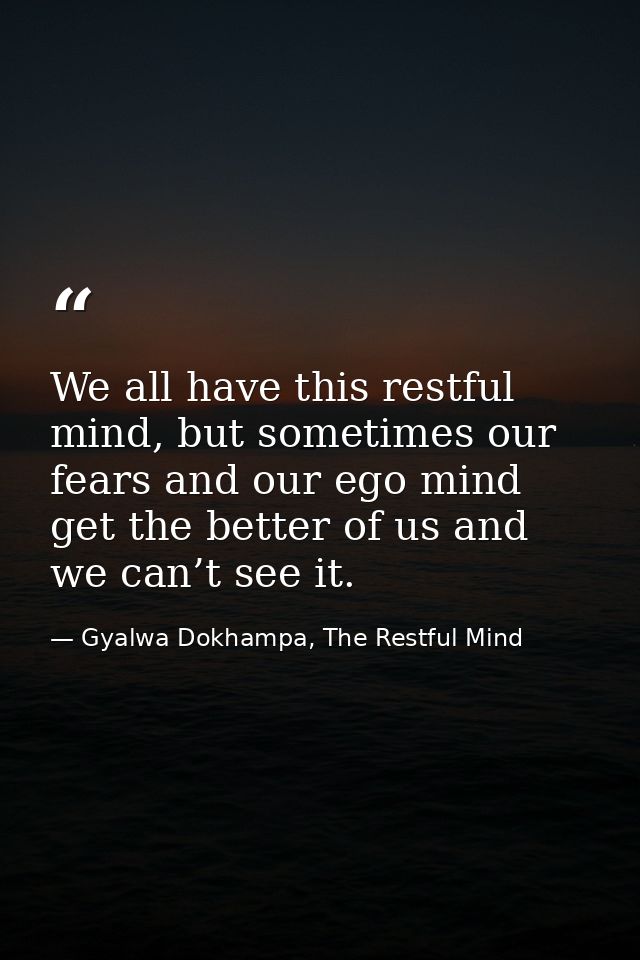 We all have this restful mind, but sometimes our fears and our ego mind get the better of us and we can’t see it. — Gyalwa Dokhampa, The Restful Mind