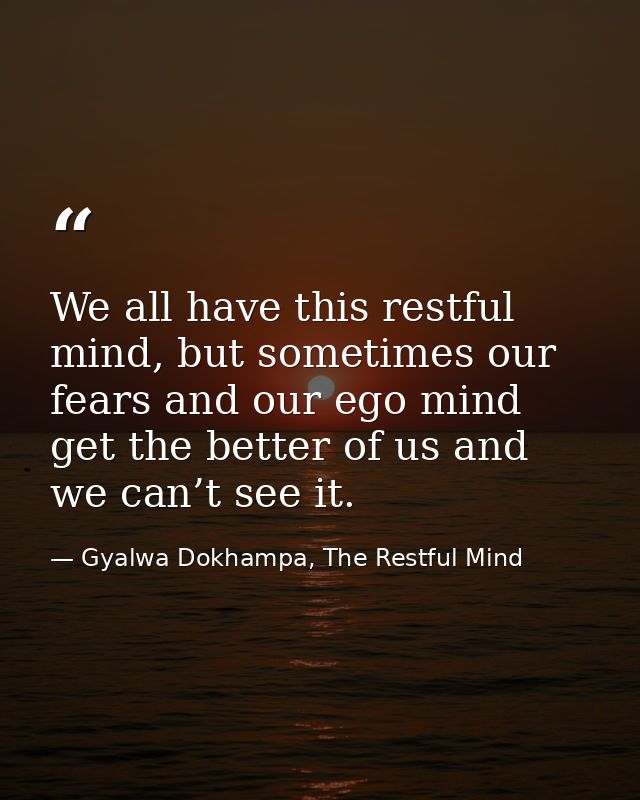 We all have this restful mind, but sometimes our fears and our ego mind get the better of us and we can’t see it. — Gyalwa Dokhampa, The Restful Mind