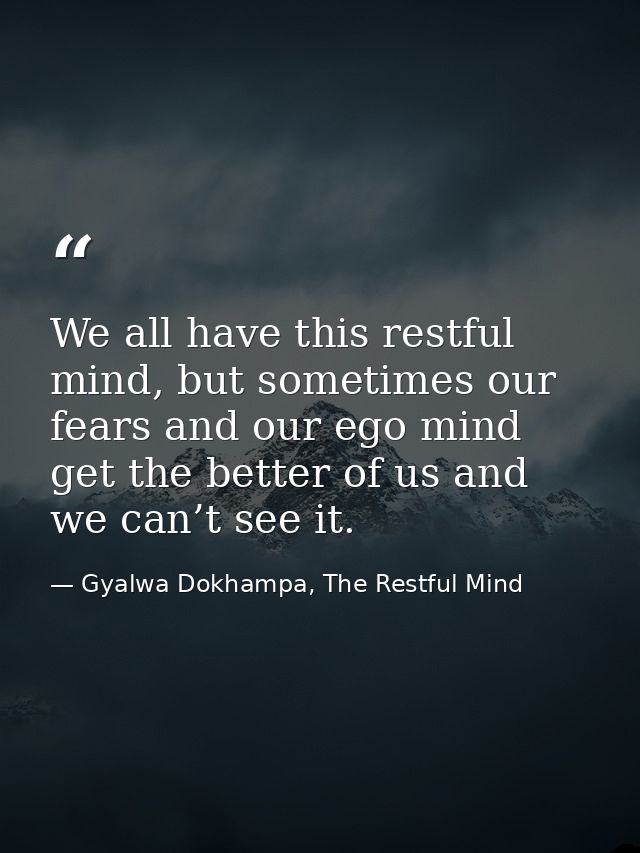 We all have this restful mind, but sometimes our fears and our ego mind get the better of us and we can’t see it. — Gyalwa Dokhampa, The Restful Mind