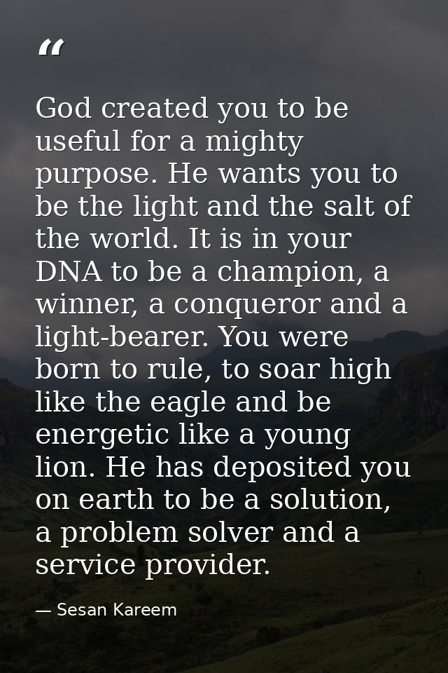 God created you to be useful for a mighty purpose. He wants you to be the light and the salt of the world. It is in your — Sesan Kareem