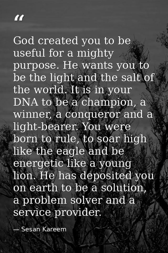 God created you to be useful for a mighty purpose. He wants you to be the light and the salt of the world. It is in your — Sesan Kareem